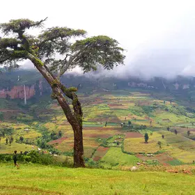 Don't be fooled by the peaceful view