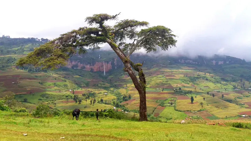 Don't be fooled by the peaceful view