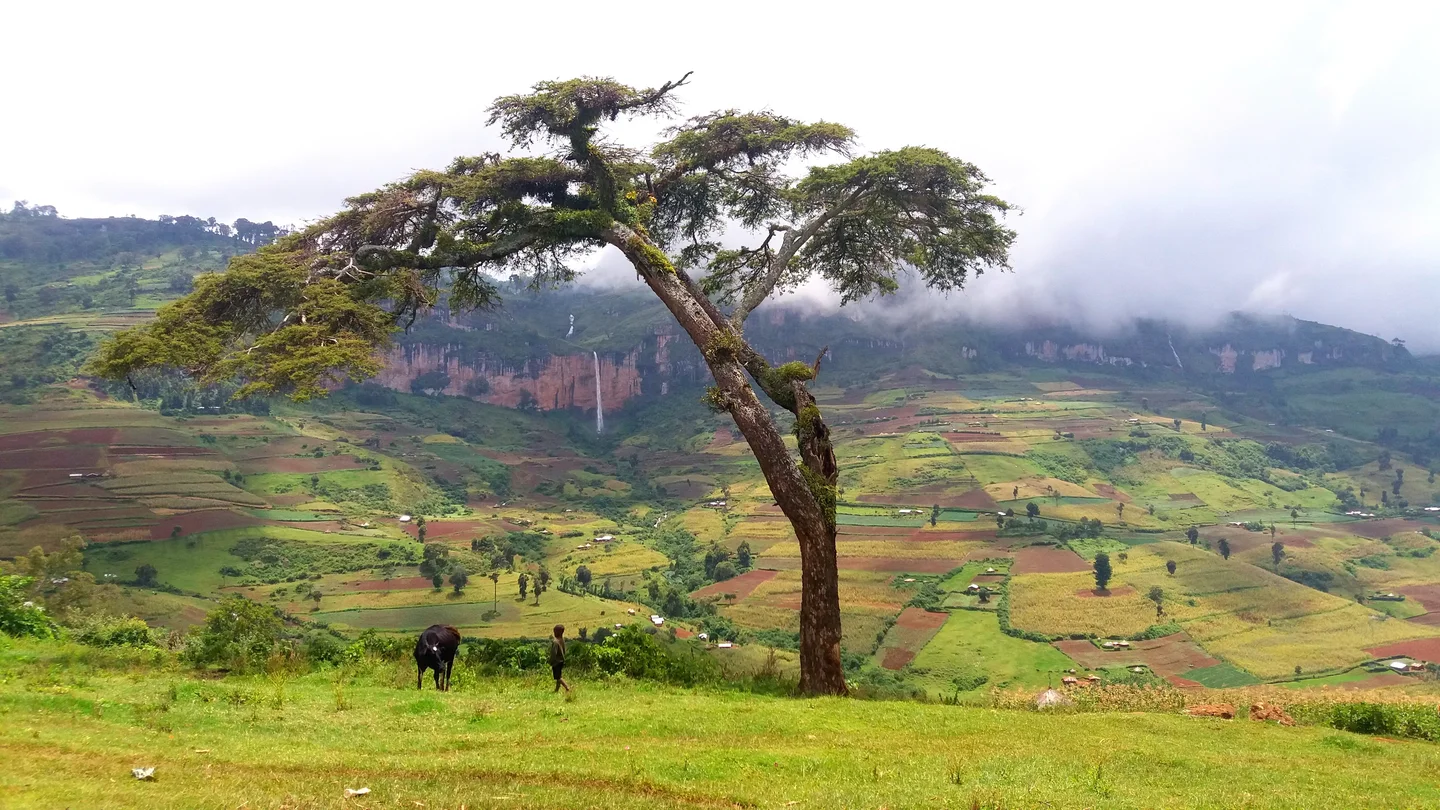Don't be fooled by the peaceful view