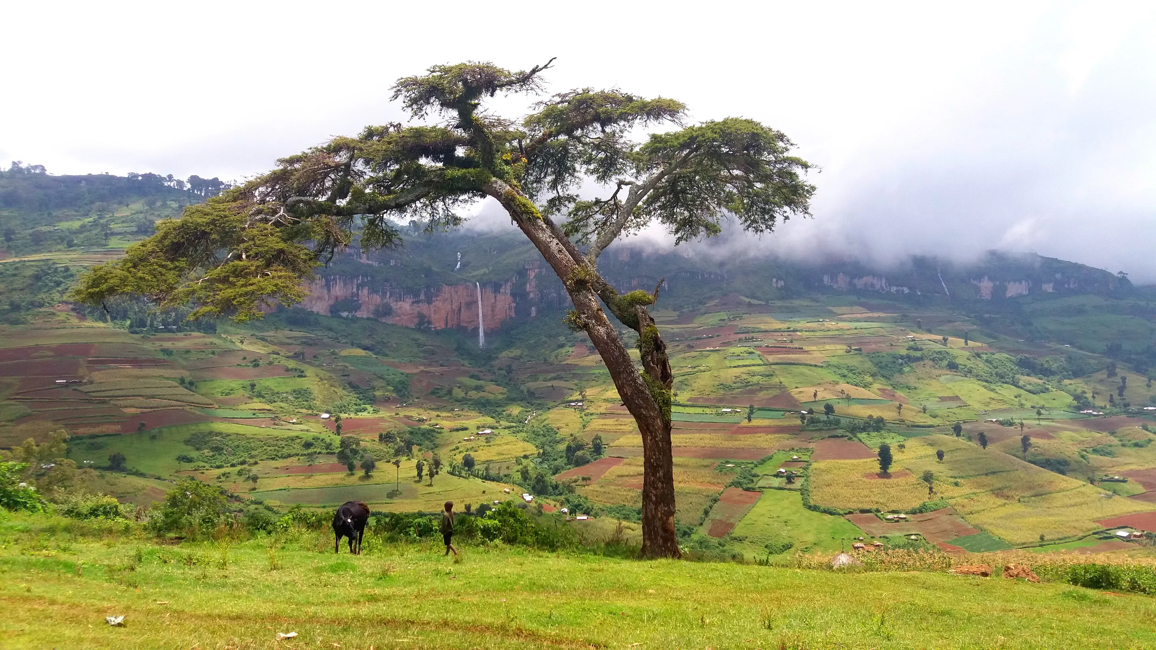 Don't be fooled by the peaceful view