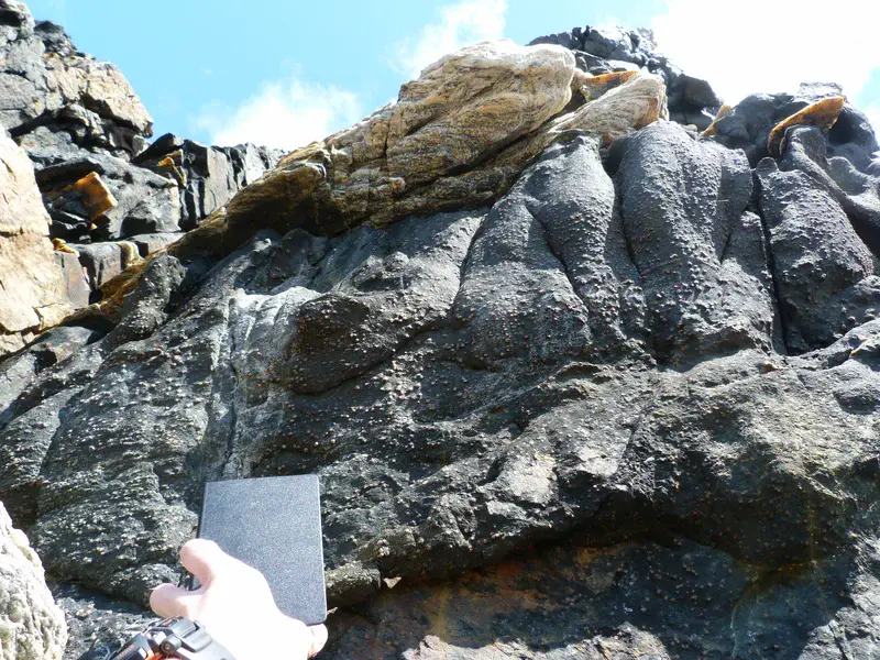 A rock with chicken pox