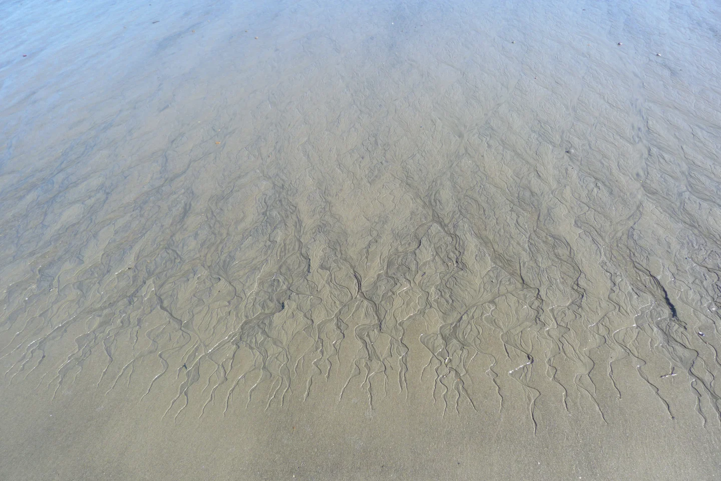 Dendritic drainage in garnet-rich foreshore