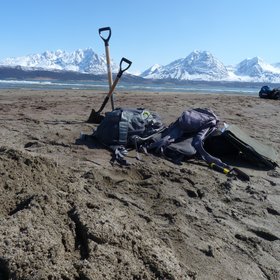 Digging in the Arctic