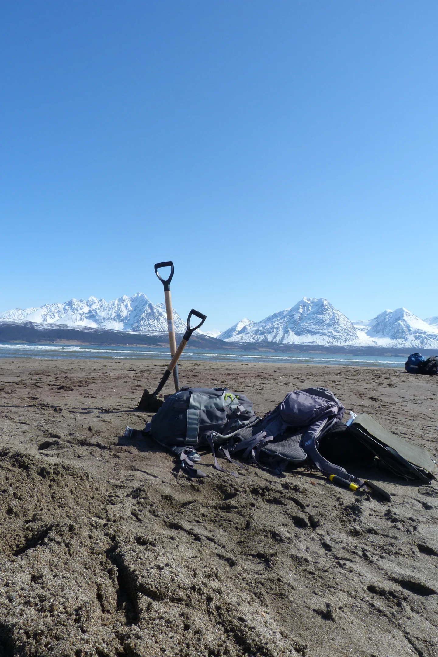 Digging in the Arctic