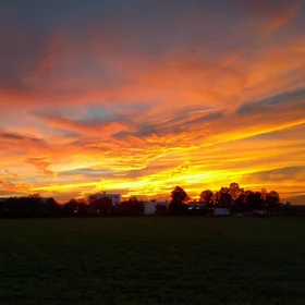 A random evening stroll