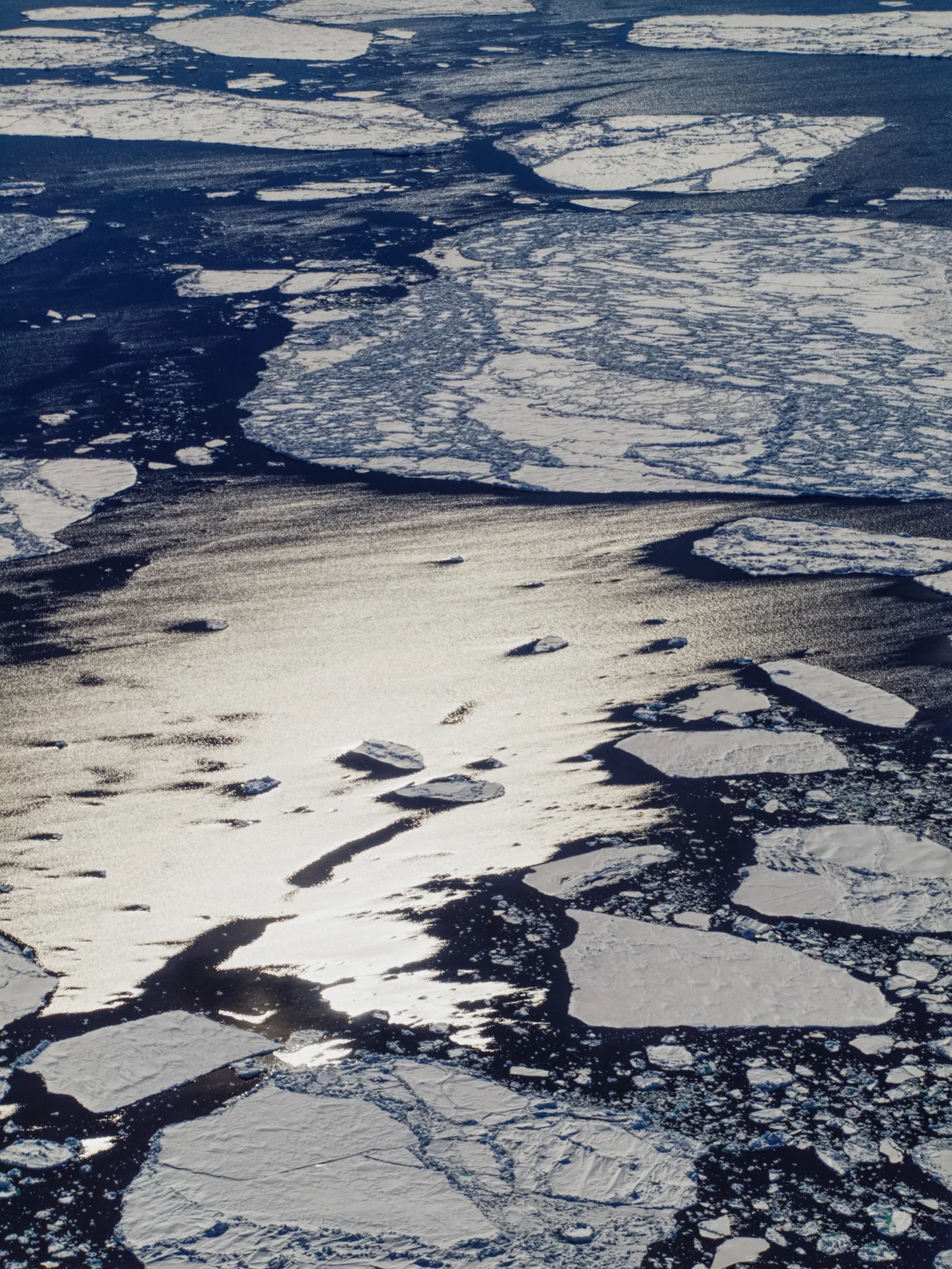 Travelling south from the Arctic