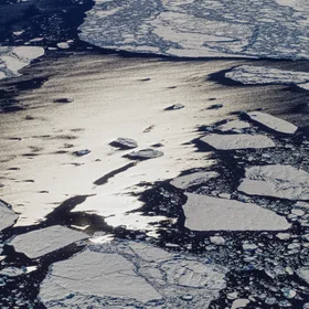 Travelling south from the Arctic
