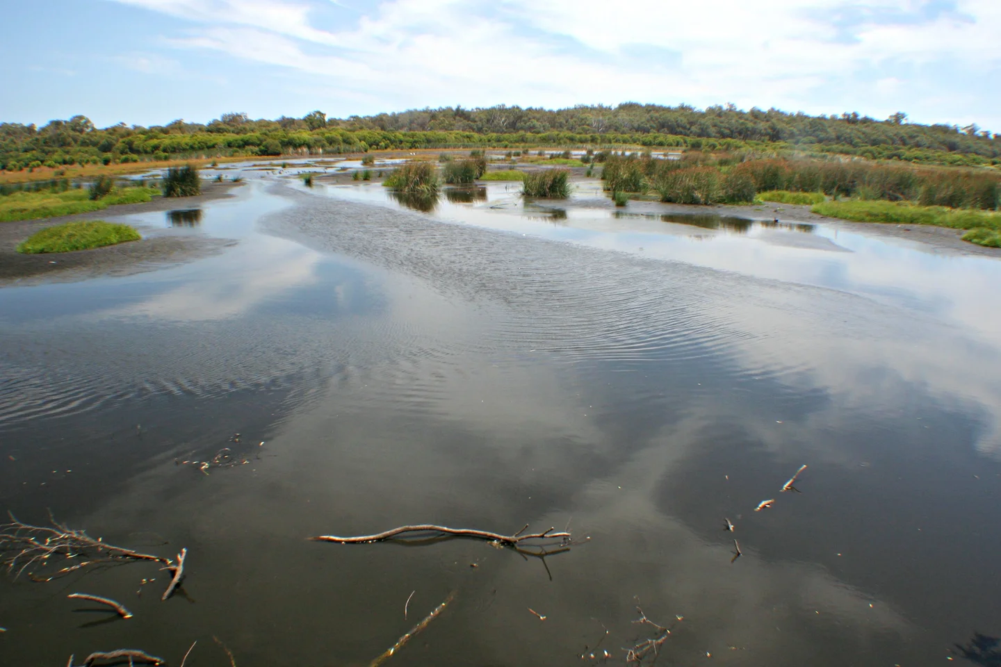 Wetlands in Yanchep National Park (Western Australia)