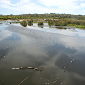 Wetlands in Yanchep National Park (Western Australia)