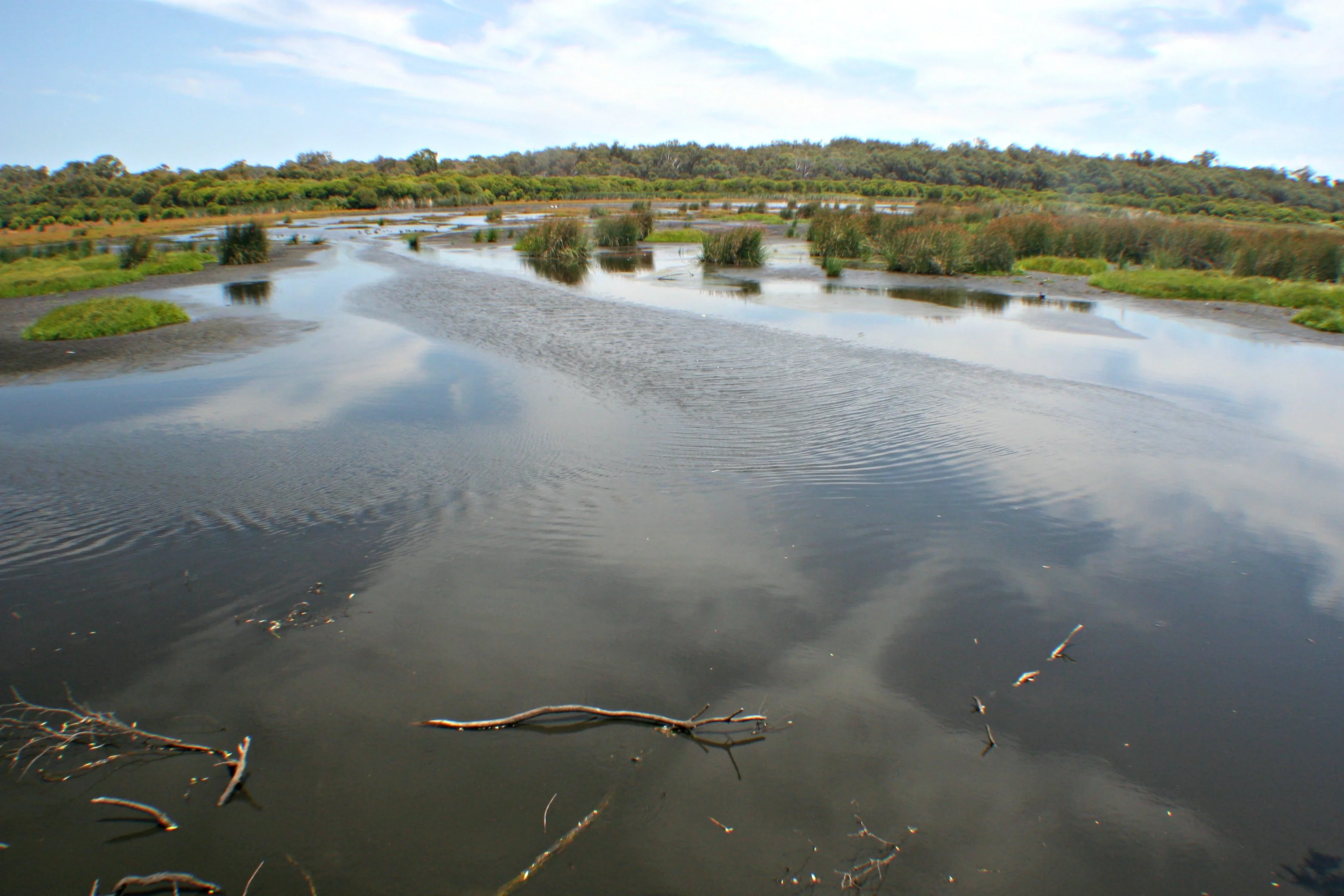 Wetlands in Yanchep National Park (Western Australia)