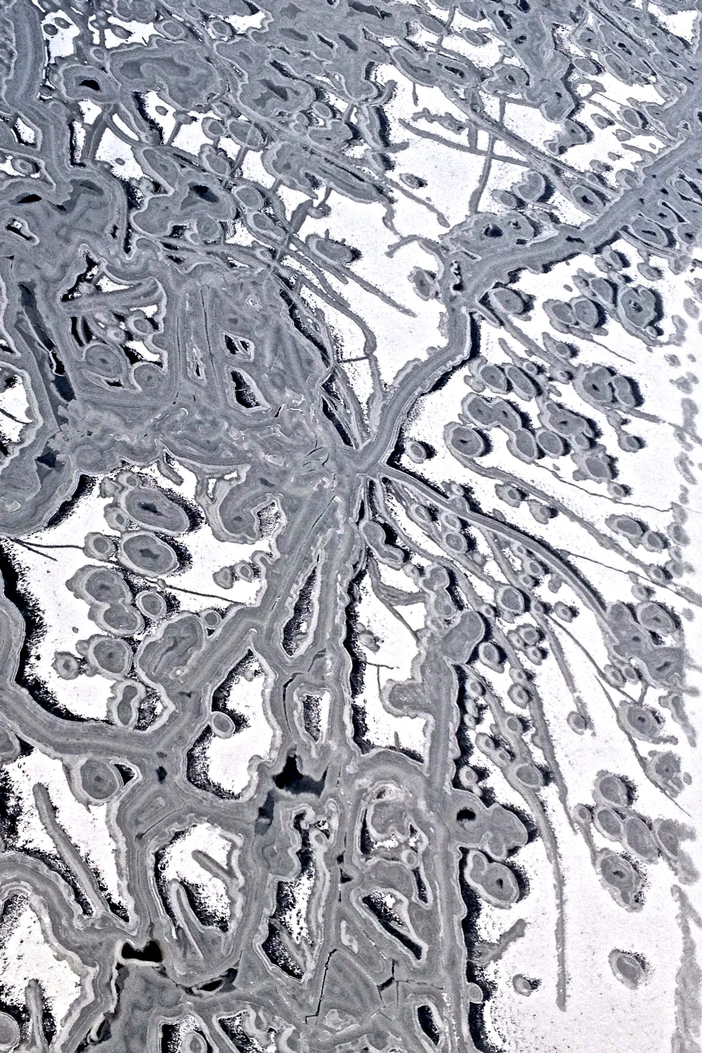 Ice Forming On the Chesapeake Bay
