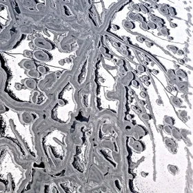 Ice Forming On the Chesapeake Bay