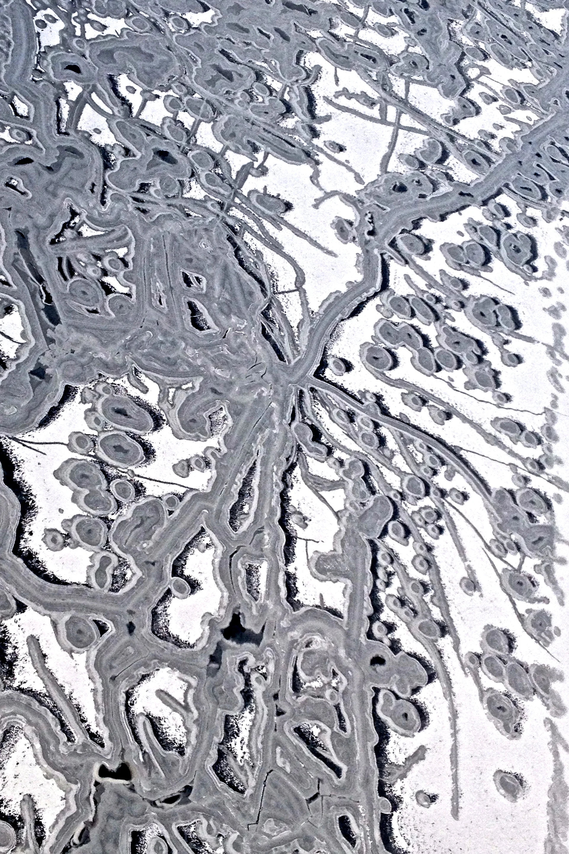 Ice Forming On the Chesapeake Bay