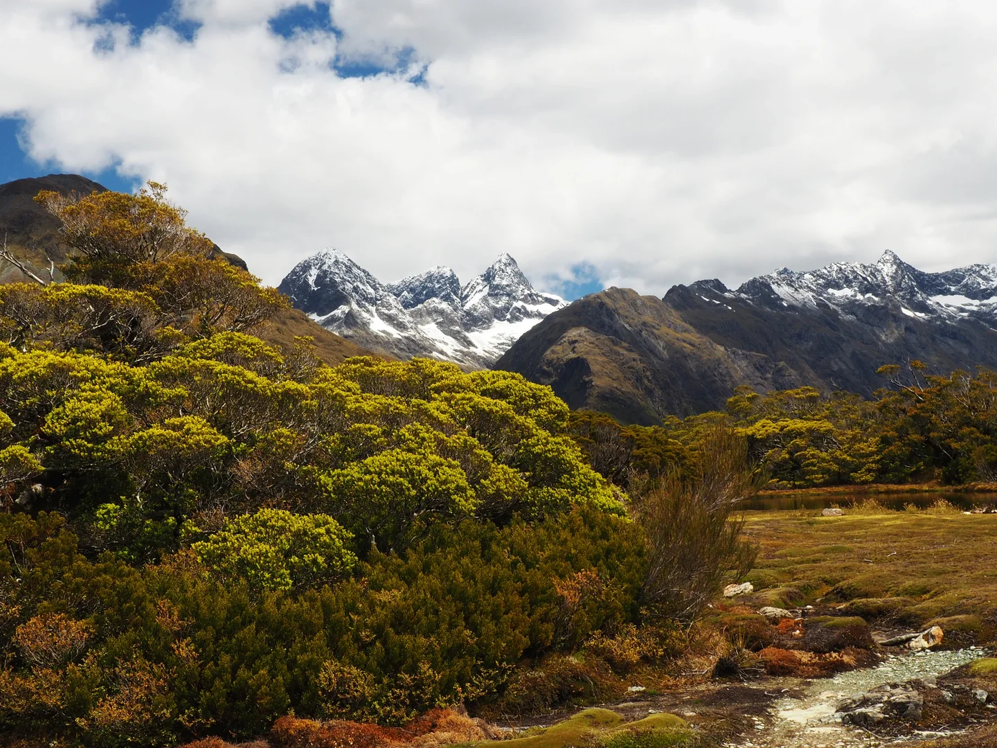 Key summit track Down Under