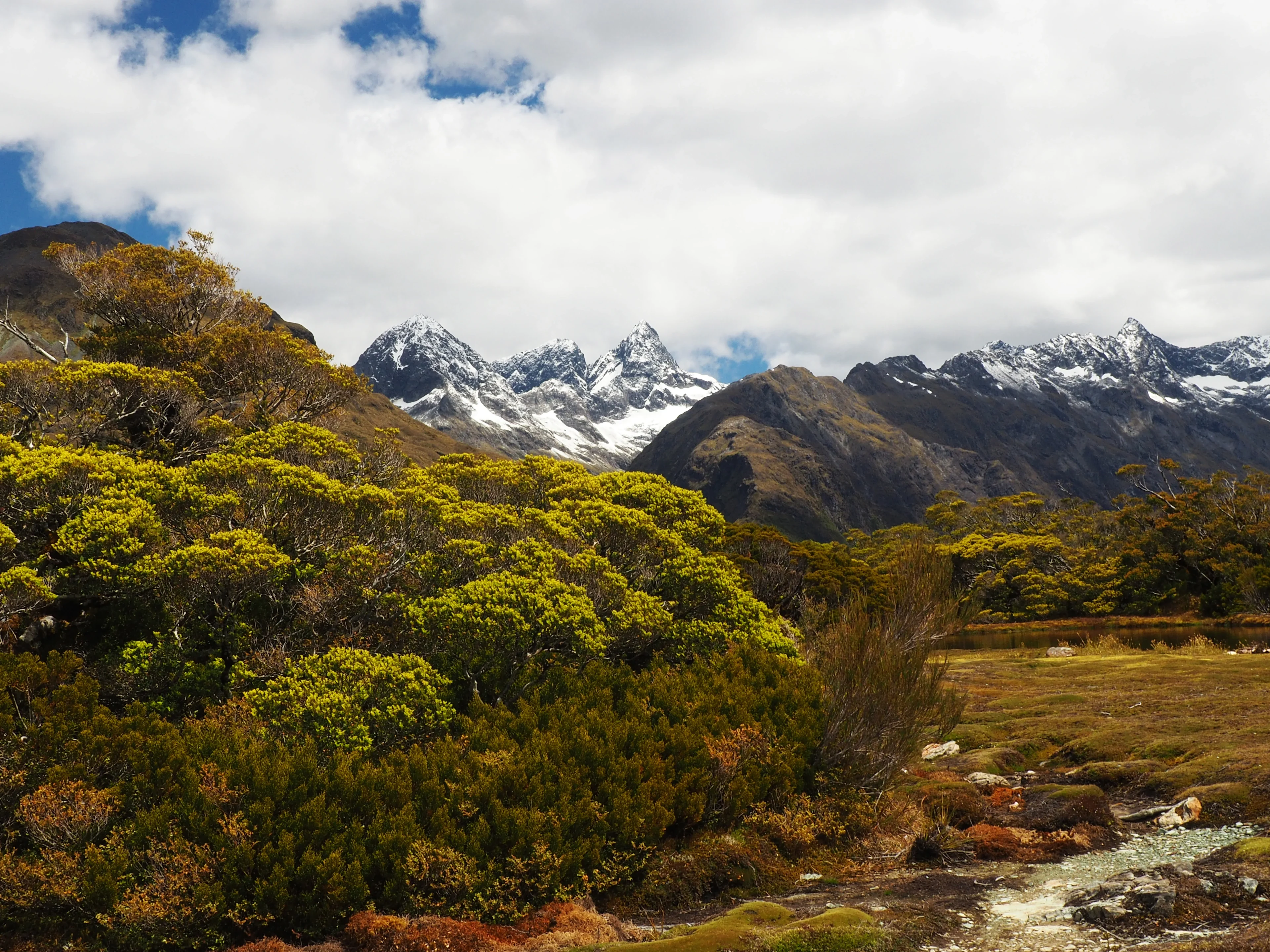 Key summit track Down Under
