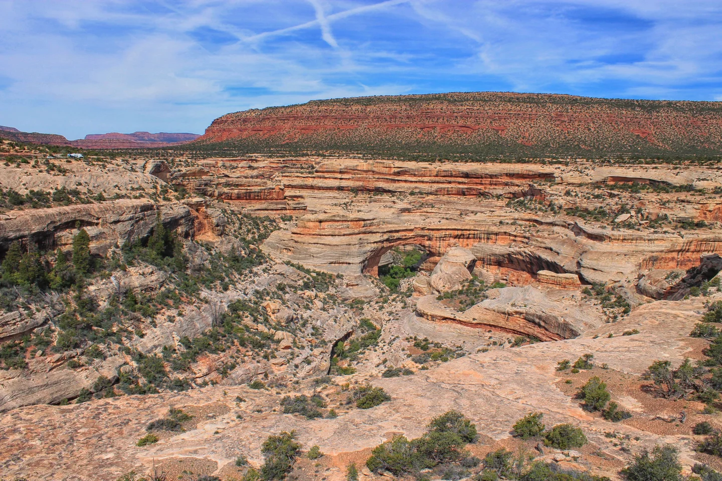 Natural Bridges National Monument