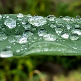 The long awaited raindrops