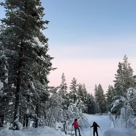 Arctic relaxation sport