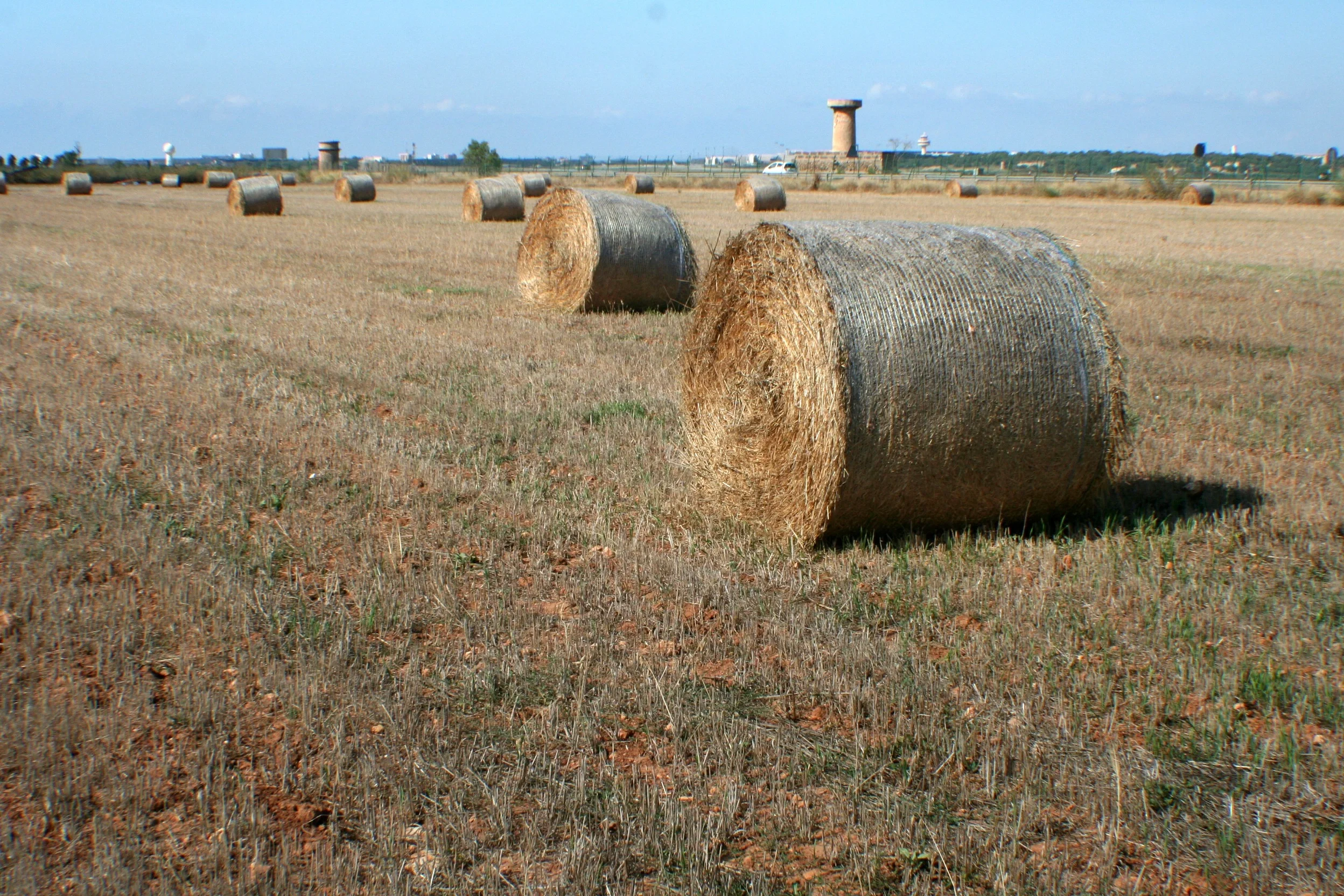 Straw pills in a cropped soil from Palma de Mallorca