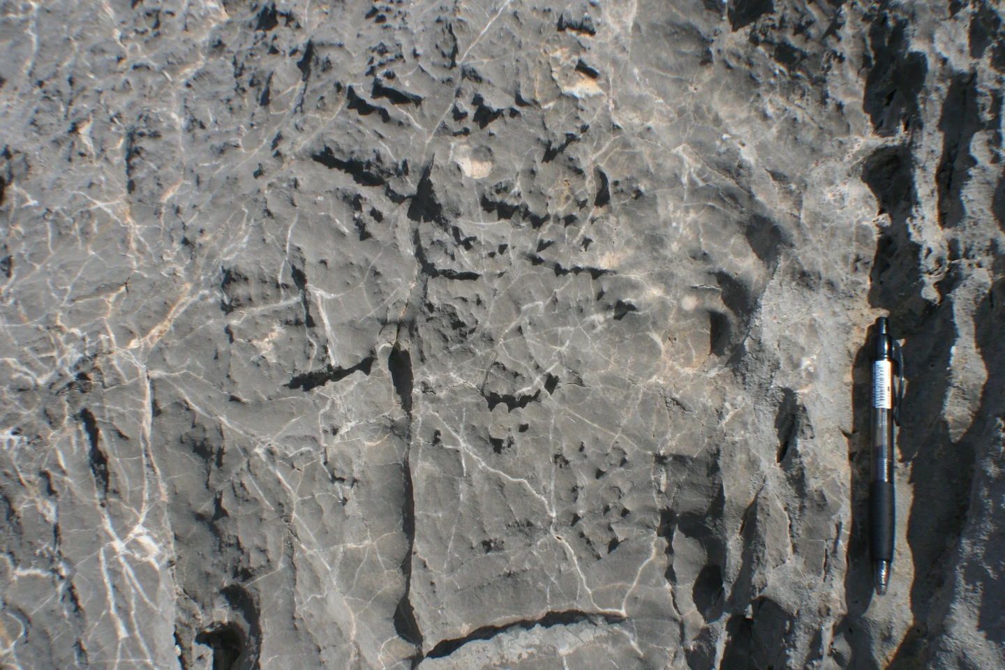 Weathered limestone from Tramuntana mountains, Mallorca (Spain)
