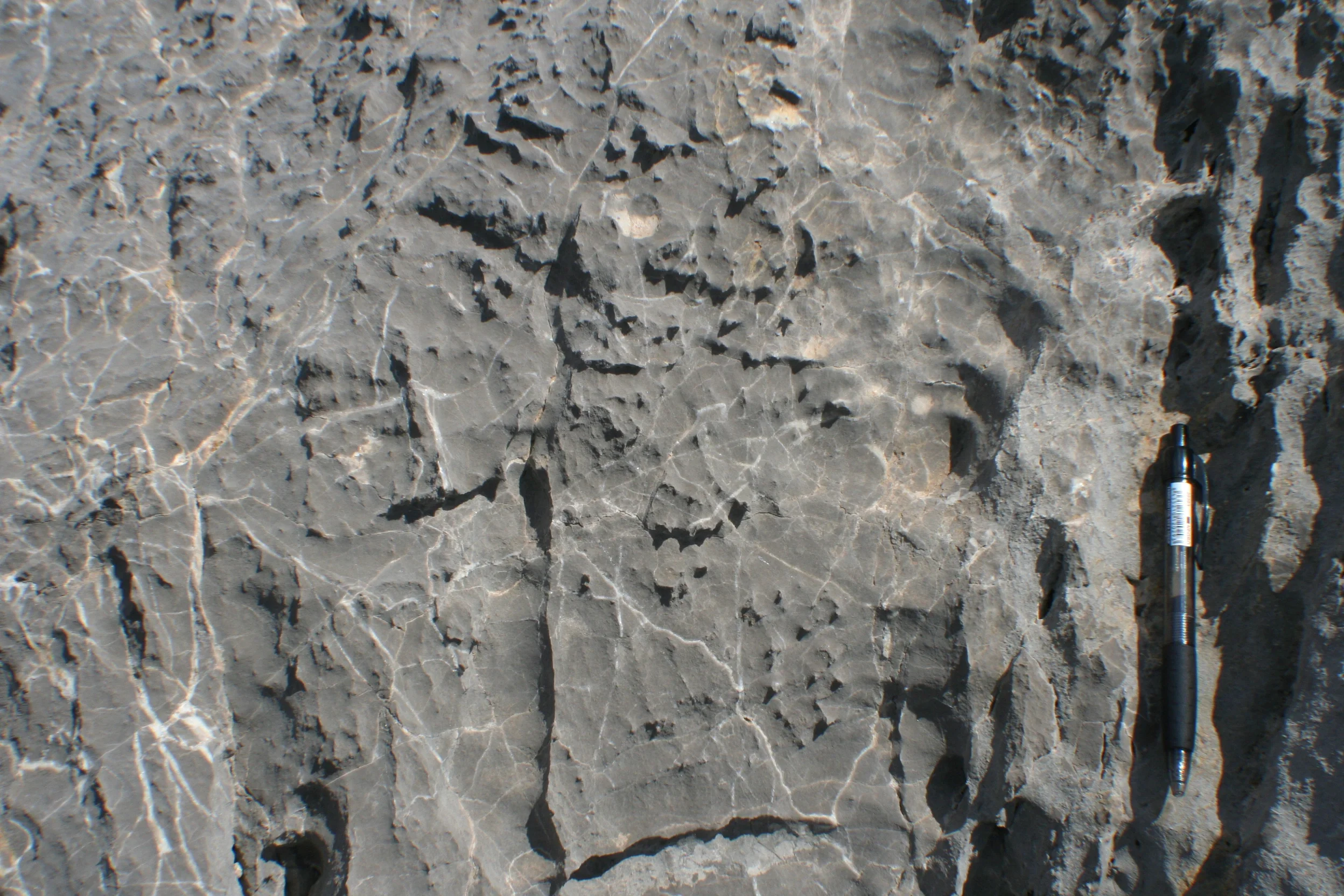 Weathered limestone from Tramuntana mountains, Mallorca (Spain)