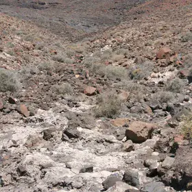 In the road to Jandía (Fuerteventura, Canary Islands)