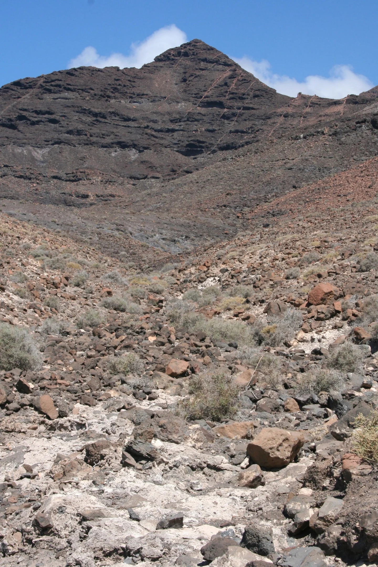 In the road to Jandía (Fuerteventura, Canary Islands)