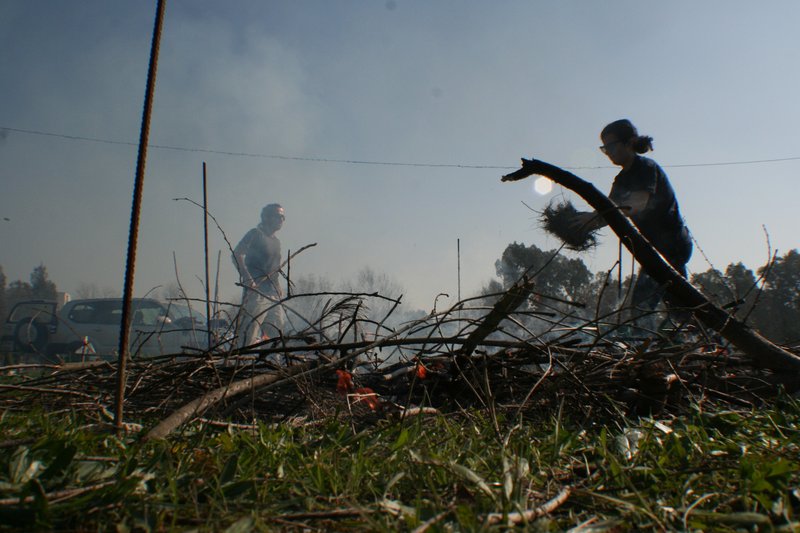 Simulating a scrub fire (I)