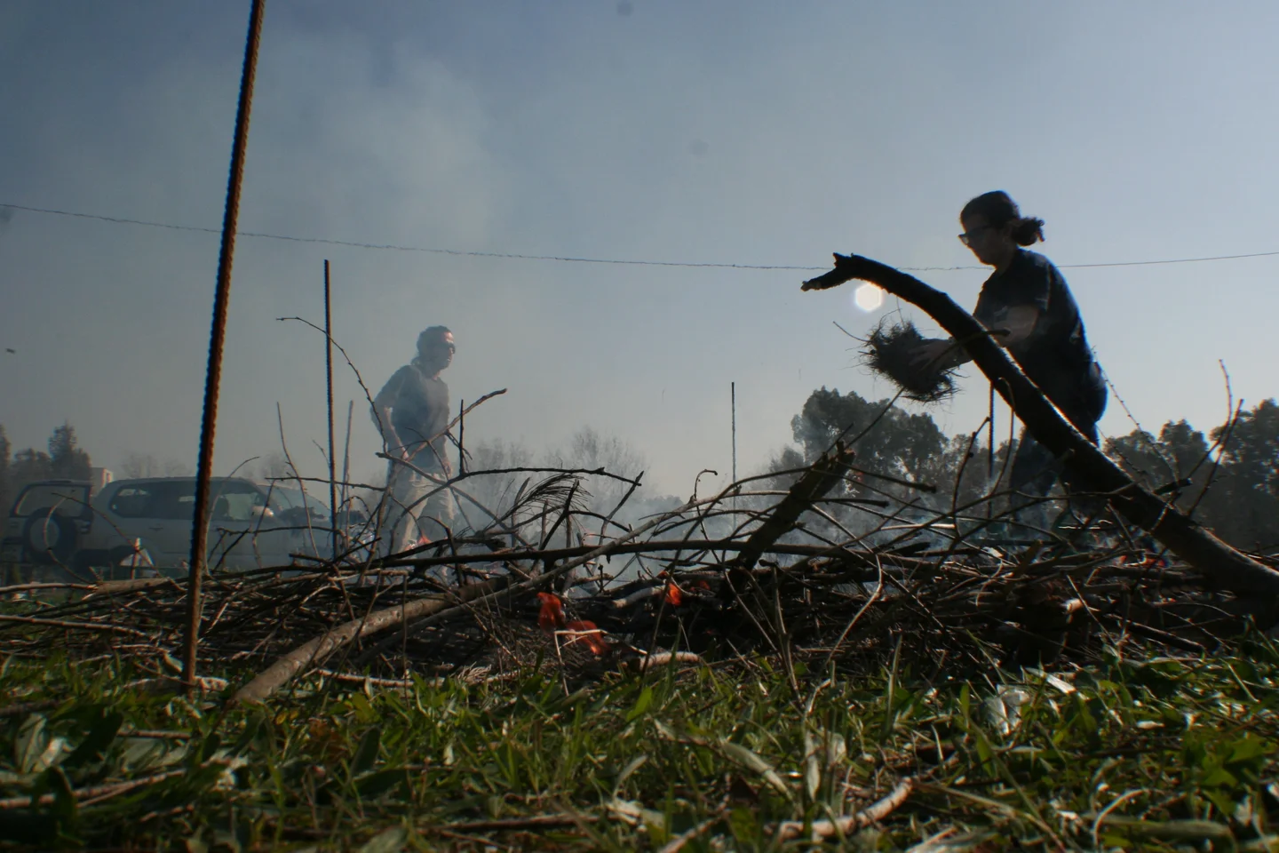 Simulating a scrub fire (I)
