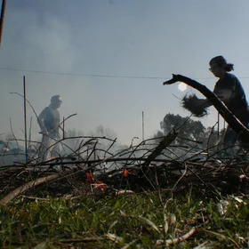 Simulating a scrub fire (I)