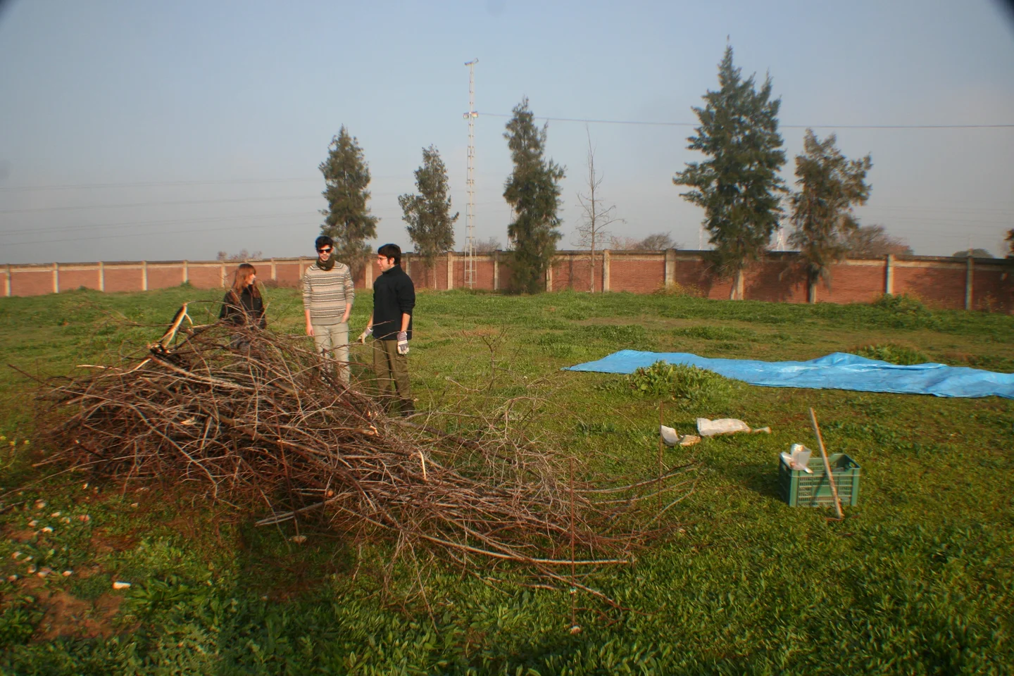 Simulating a scrub fire (II)