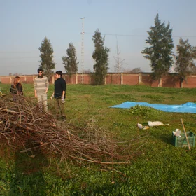 Simulating a scrub fire (II)