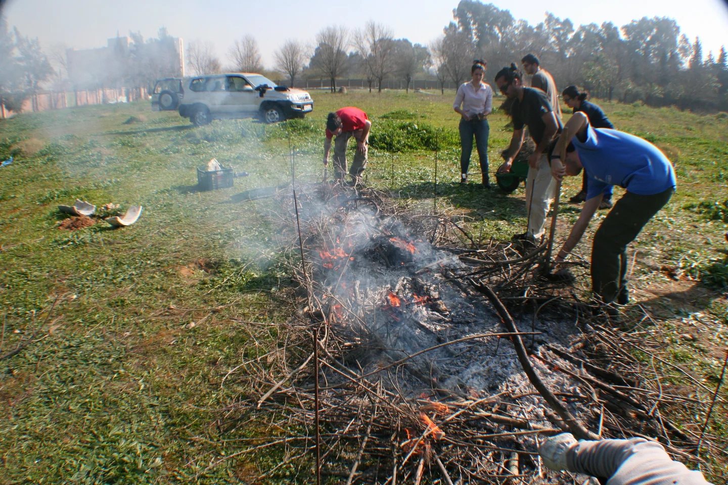 Simulating a scrub fire (III)