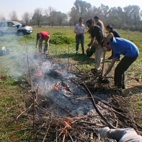 Simulating a scrub fire (III)