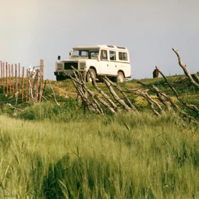 Fences knocked down by soil erosion