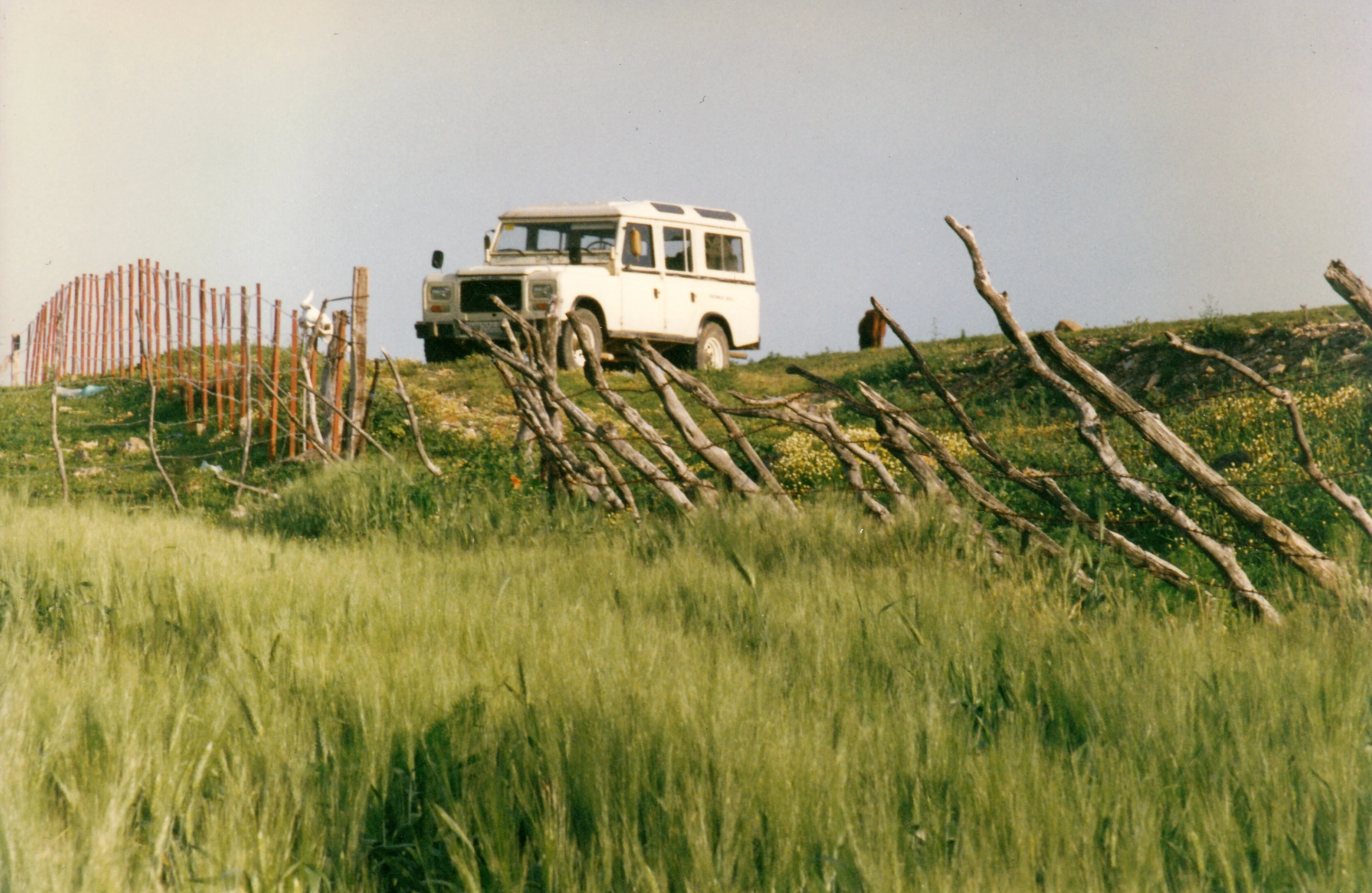 Fences knocked down by soil erosion