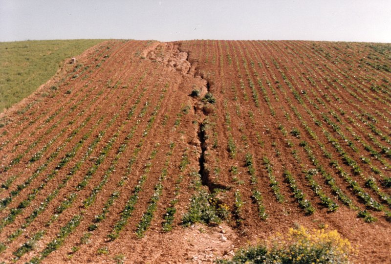 Crack in agricultural land