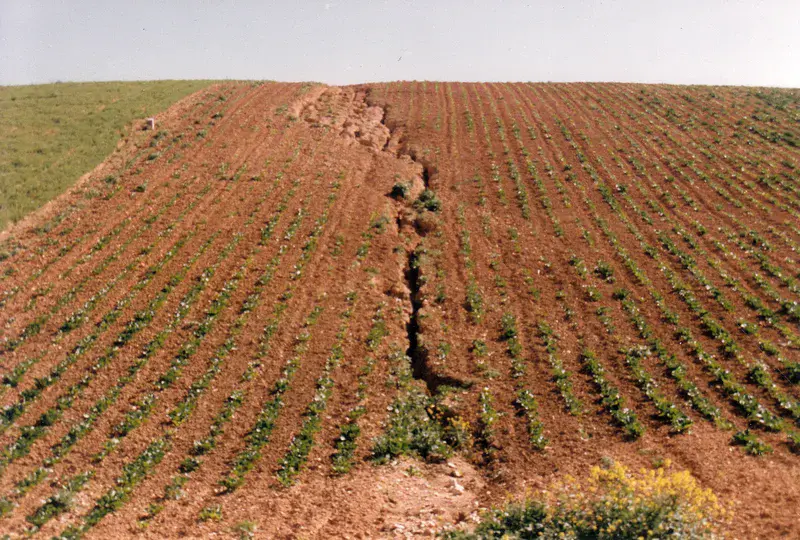 Crack in agricultural land