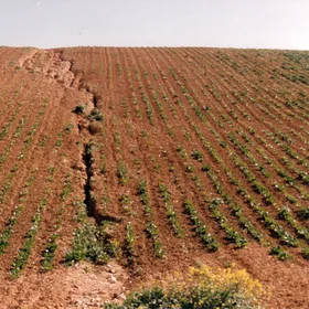 Crack in agricultural land