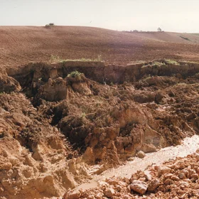 Collapsed walls of a gully near Arcos de la Frontera (SW Spain)