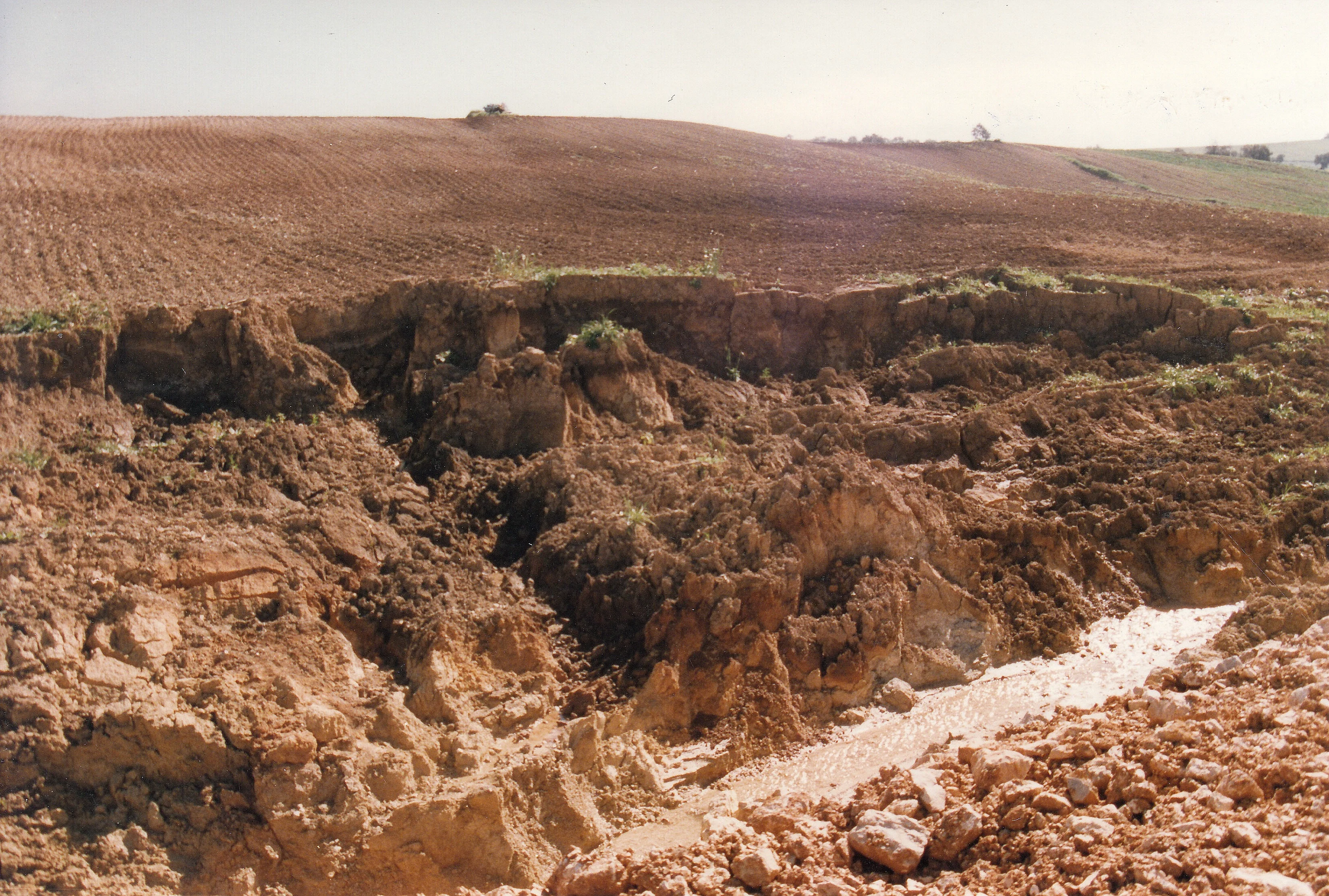Collapsed walls of a gully near Arcos de la Frontera (SW Spain)