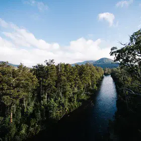1.6m hectares of wilderness. Give me more.