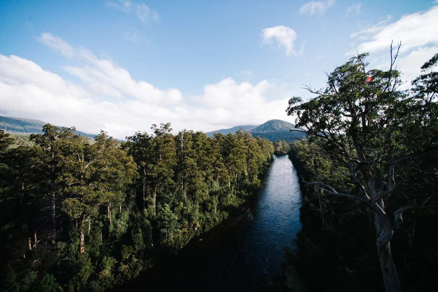 1.6m hectares of wilderness. Give me more.
