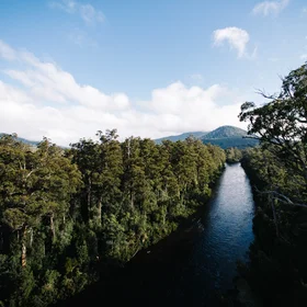 1.6m hectares of wilderness. Give me more.