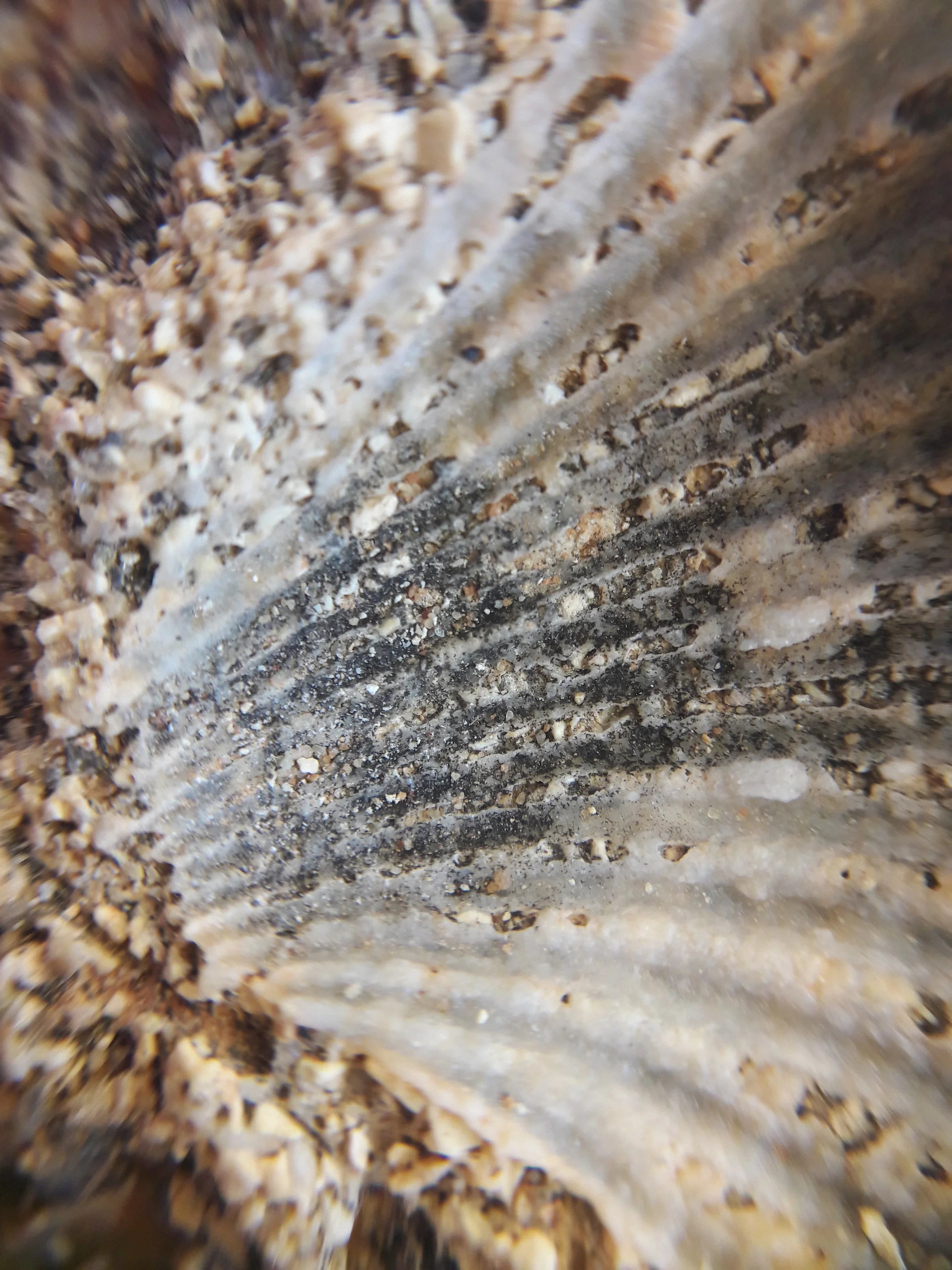Close-up of layered rock formation with textured patterns and sedimentary layers.