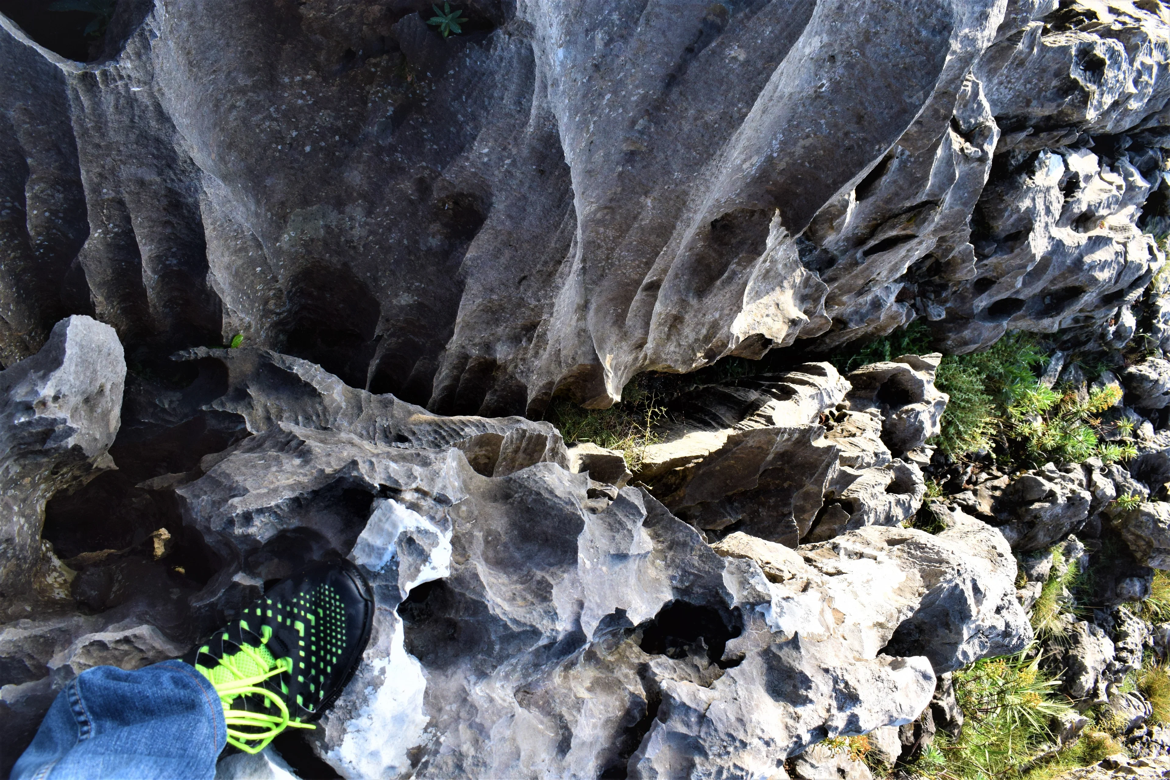 Foot wearing green-and-black shoe stands amid rugged rocks, with greenery in the background.