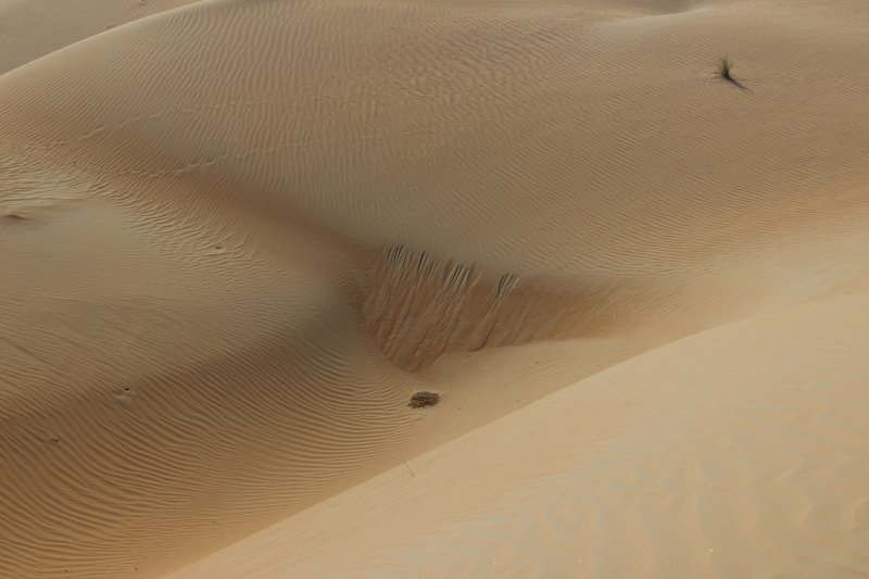 Grain flows in desert sand, not on Mars!