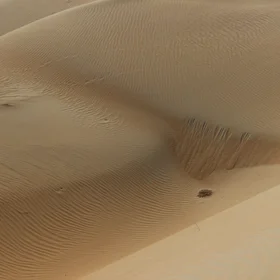 Grain flows in desert sand, not on Mars!