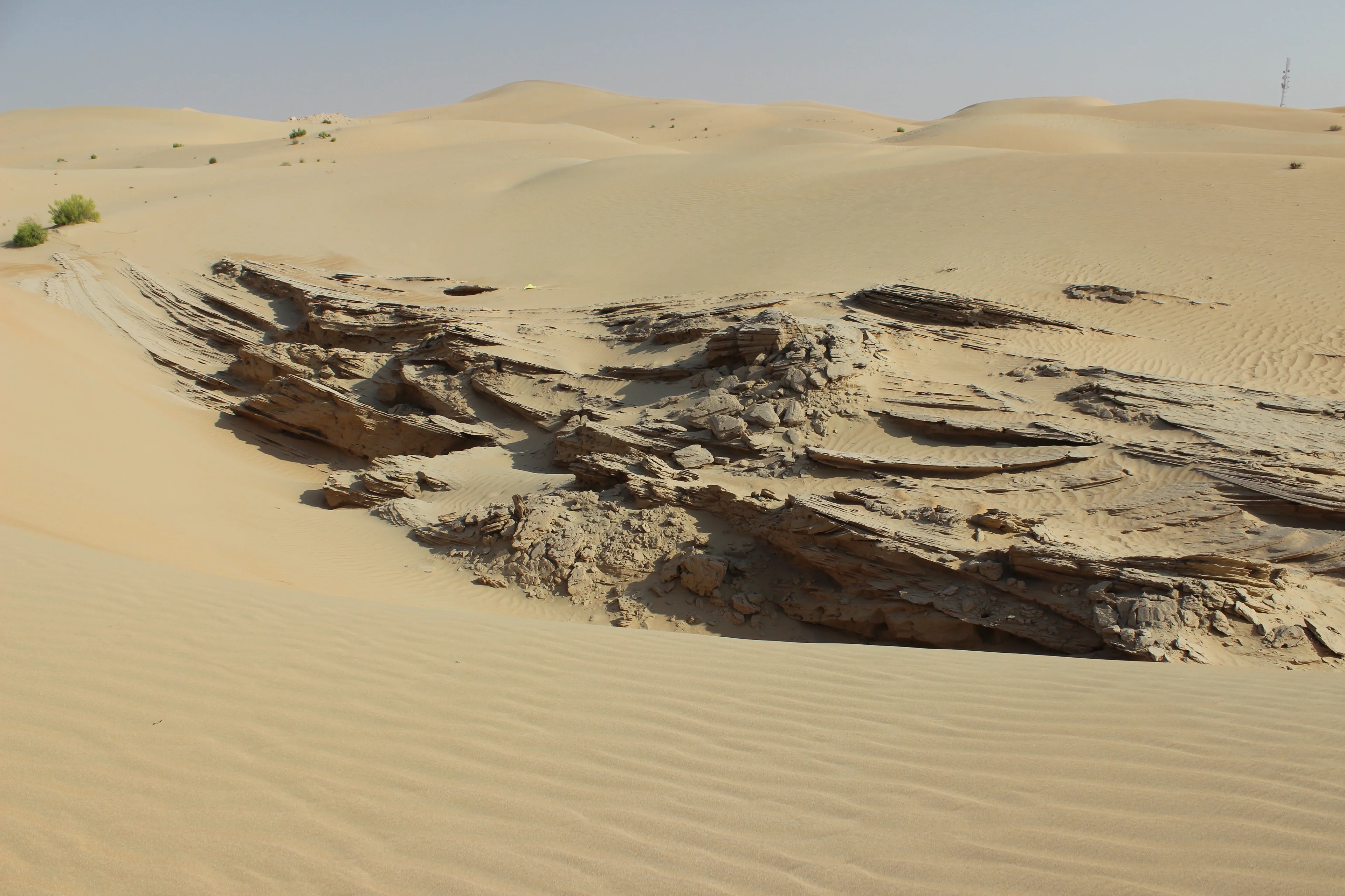 Sandstone in dune field