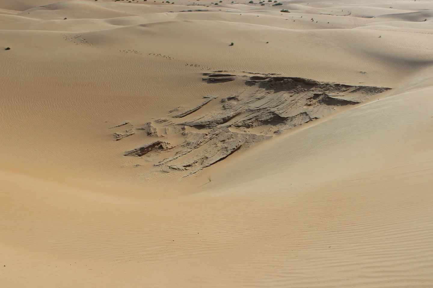 Sandstone in dune field